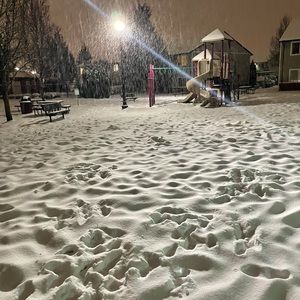 Meet your Posher, Terry